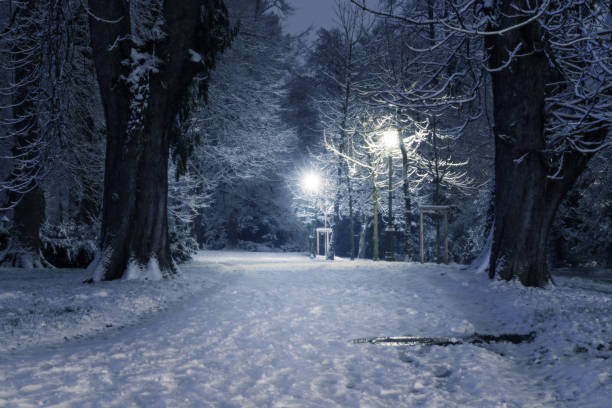Wintry scene in a snow covered park at night with lit lampposts stock photo