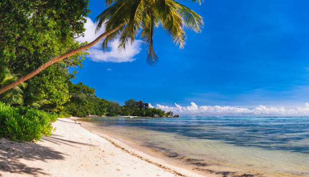 istock La Digue Island, Seychelles island. Famous unique tropical beach Anse Source d'Argent with sandy beach and palm trees 1193734745