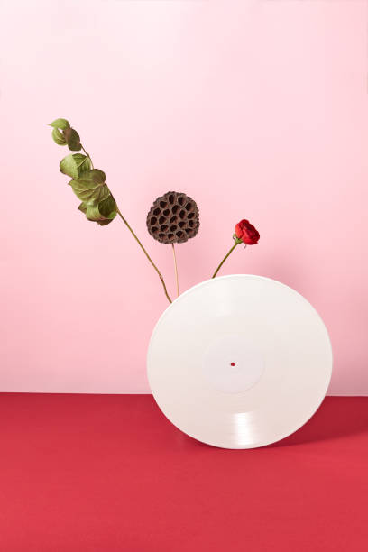 fiore rosso, rami secchi e disco audio in vinile su sfondo rosso rosa duotone con spazio di copia - dry leaves audio foto e immagini stock