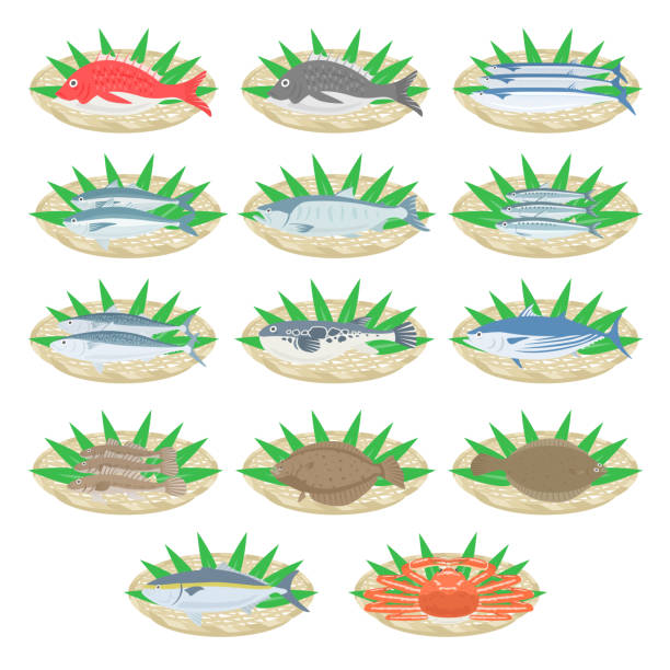 illustrazioni stock, clip art, cartoni animati e icone di tendenza di illustrazione di pesce fresco - catch of fish fish tuna sea bream