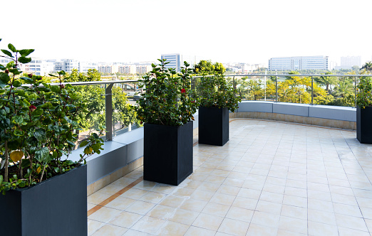 Modern apartment balcony with potted plants.