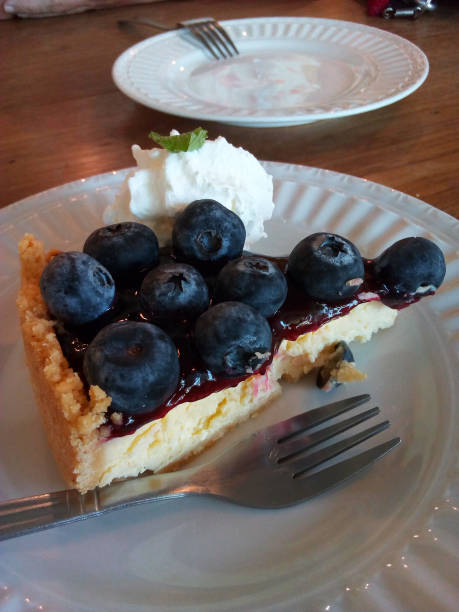 istock Fresh Blueberry Cheese Pie, Close-up 1193738415