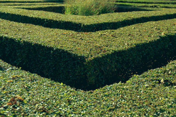 o canto de um labirinto da conversão - guidance maze corner adversity - fotografias e filmes do acervo