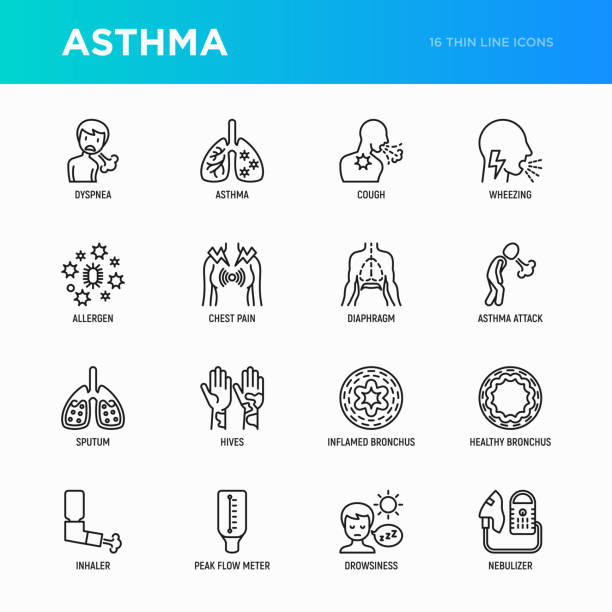 Asthma thin line icons set: allergen, dyspnea, cough, wheezing, chest pain, diaphragm, asthma attack, hives, sputum, peak flow meter, inhaler, nebulizer. Modern vector illustration. vector art illustration