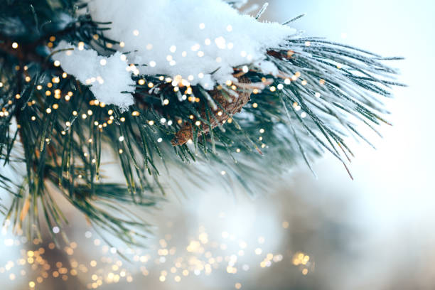istock Closeup of Christmas-tree background 1193743942