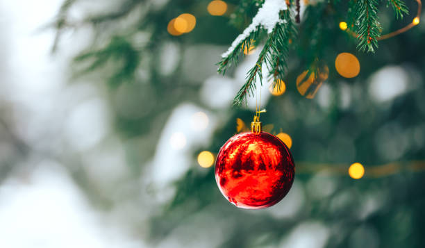 istock Christmas balls on tree outdoor 1193743975