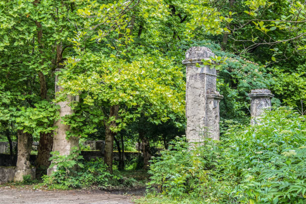 istock Overgrown abandoned ruins in the forest - Old road running between pillars from Soviet-era resort in the Republic of Georgia in the summer 1193745161