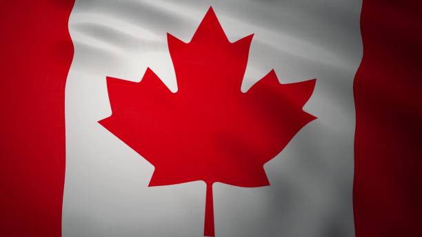 istock Realistic waving flag of Canada. 3d rendering 1193746334