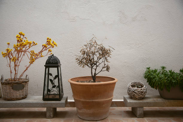 istock Modern tropical interior with plants and decor. 1193746352