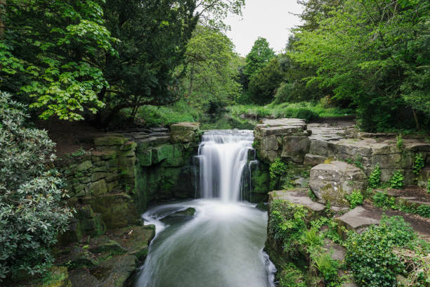 Waterfall in Jesmond Dene Long exposure of a waterfall in Jesmond Dene, Newcastle Upon Tyne, UK. jesmond stock pictures, royalty-free photos & images