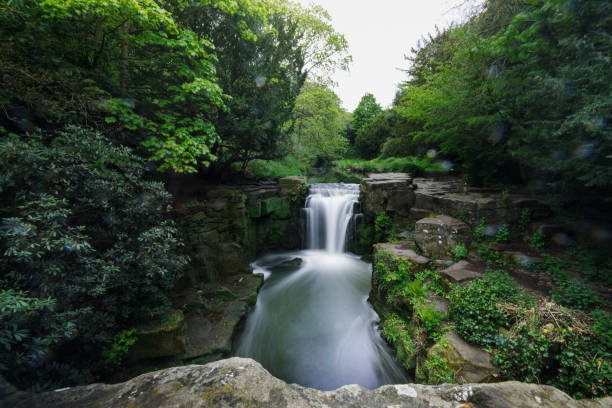 Waterfall in Jesmond Dene Long exposure of a waterfall in Jesmond Dene, Newcastle Upon Tyne, UK. jesmond stock pictures, royalty-free photos & images