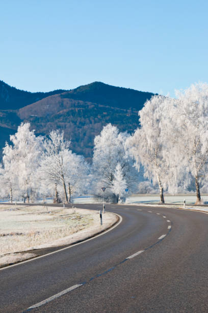 istock Frozen trees along a country road in Upper Bavaria Germany 1193753072