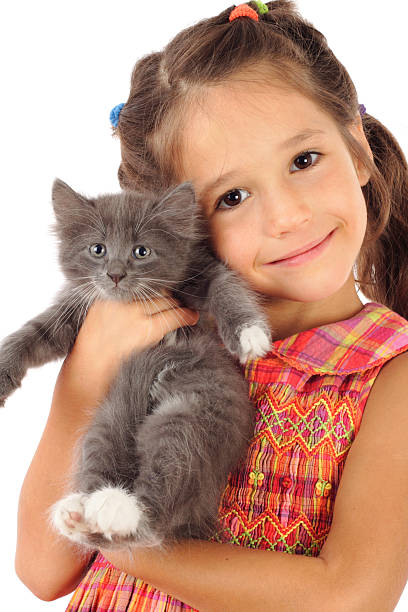 istock Little girl with gray kitty 119375414