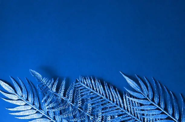 Photo of Beautiful twigs of trendy classic blue ferns.