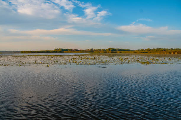 istock The river bed Kushugum 1193755953