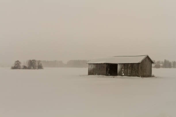 vecchia casa fienile nella bufera di neve - winter finland agriculture barn foto e immagini stock