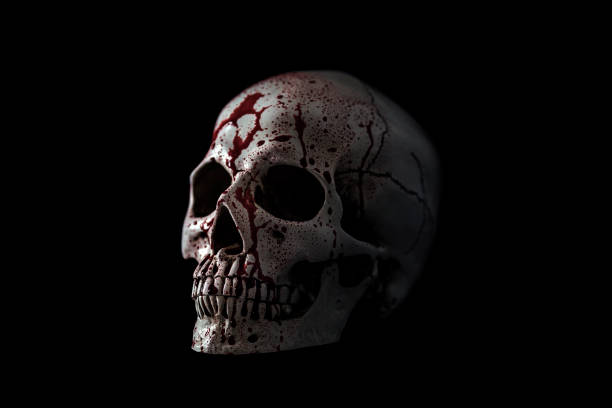 Human skull in blood isolated on black background with clipping path