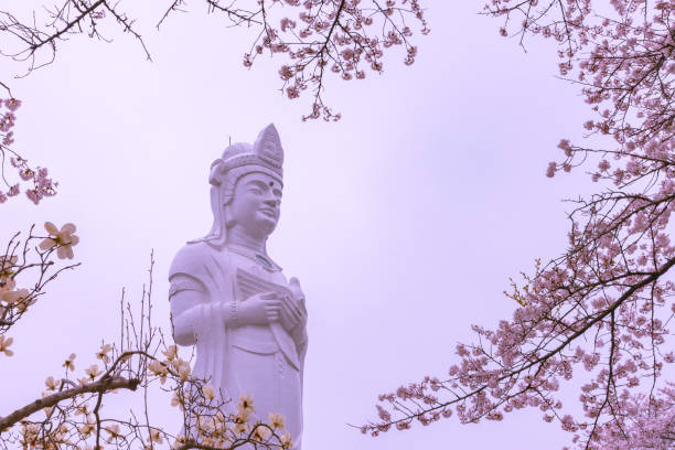 Funaoka Peace Kannon ( Guanyin Bodhisattva ) Funaoka Peace Kannon ( Guanyin Bodhisattva ), on the mountaintop of Funaoka Castle Ruin Park, Shibata, Miyagi, Japan. kannon bosatsu stock pictures, royalty-free photos & images