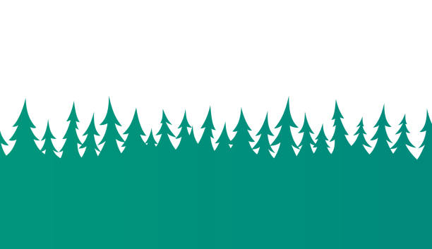 bezszwowa lasowa lasowa granica sosnowa - outline hiking woods forest stock illustrations