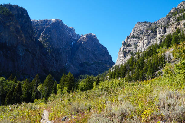 istock The Trail Into a Tetons Canyon 1193765889