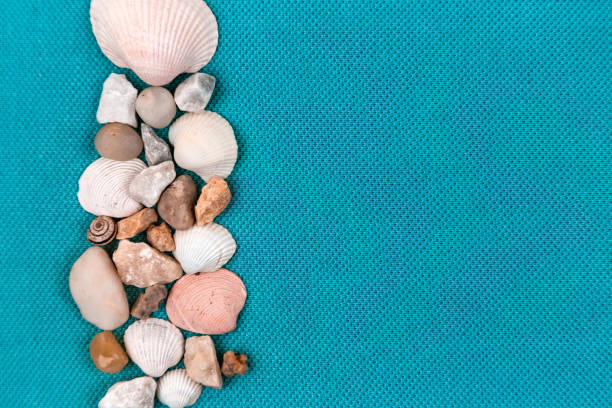 istock Sea shells laid out on a trendy aqua blue background with an empty place for text 1193766554