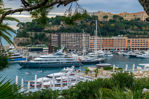 Monaco city port with luxury white yachts and buildings during evening time with cloudy sky. Nearest bushes and leaves is in camera focus