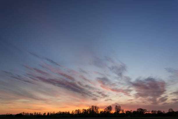 istock Trees on the horizon, sky and colorful clouds after sunset 1193770439