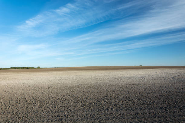 istock Big plowed field and white clouds on a sky 1193770448