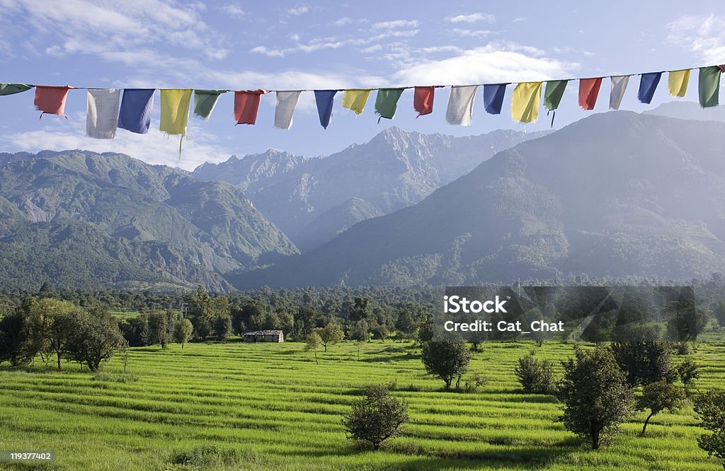 Himalaias - Foto de stock de Dharamsala royalty-free