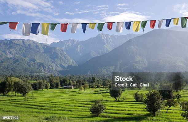 Foto de Himalaias e mais fotos de stock de Dharamsala - Dharamsala, Ajardinado, Arroz - Cereal