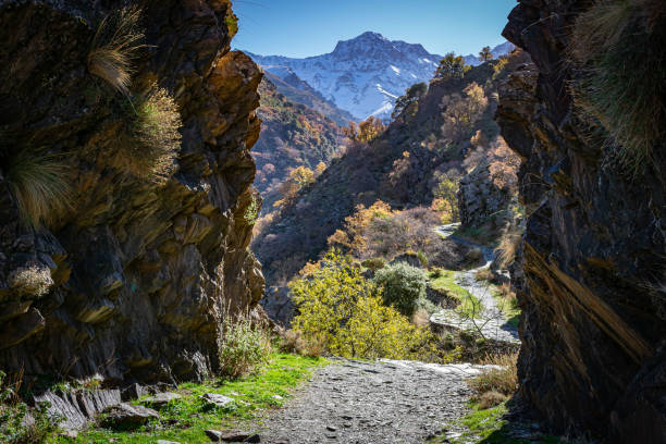istock Landscape of Sierra Nevada 1193776532