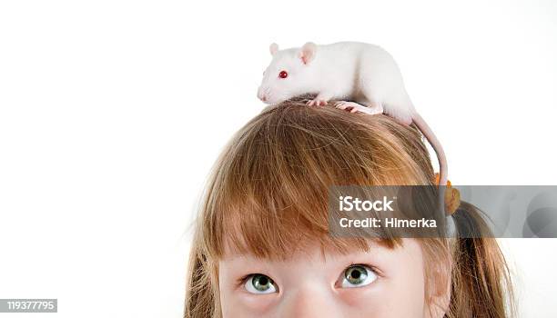Closeupmädchen Mit Einem Rat Auf Ihrem Kopf Stockfoto und mehr Bilder von Albino - Albino, Baby, Behaart