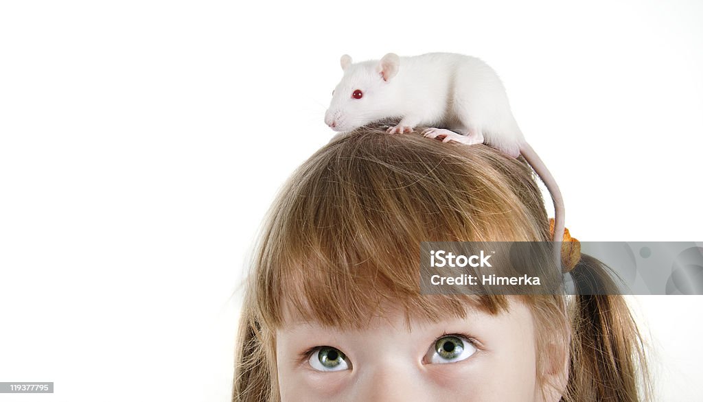 Gros plan de jeune fille avec un rat sur la tête - Photo de Albinos libre de droits