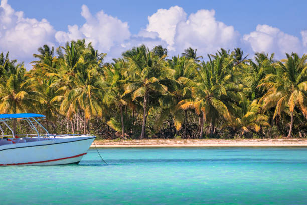 istock Summer paradise: tropical Beach with boat and palm trees – Punta Cana, Caribbean 1193778552