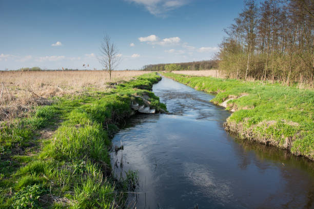 istock River flowing in eastern Poland, autumn view 1193779775