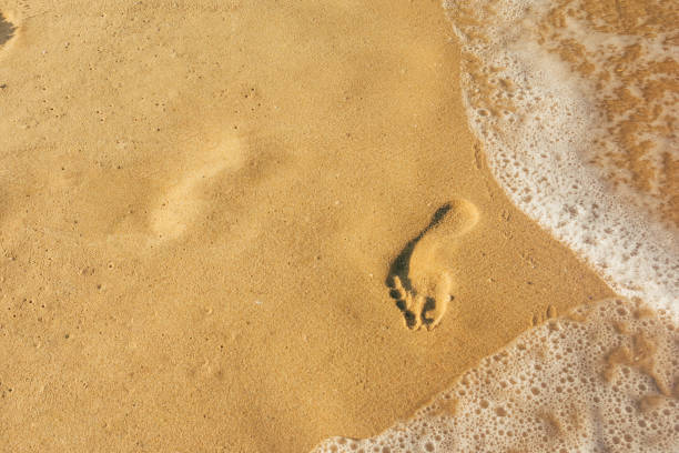 istock foot prints on the sand 1193784680