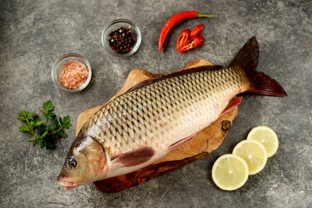 istock Fresh live raw carp. Fresh river fish. Wild fish. Top view. 1193784785