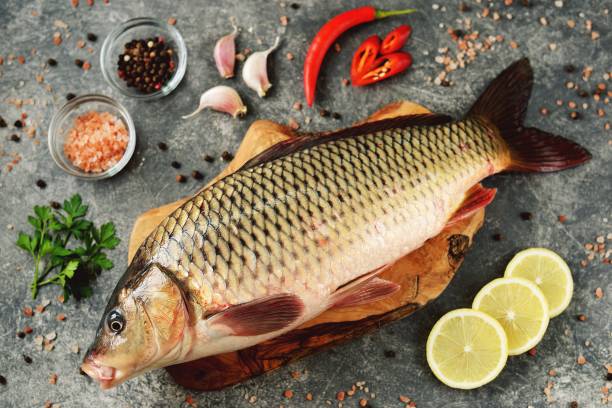 istock Fresh live raw carp. Fresh river fish. Wild fish. Top view. 1193784817