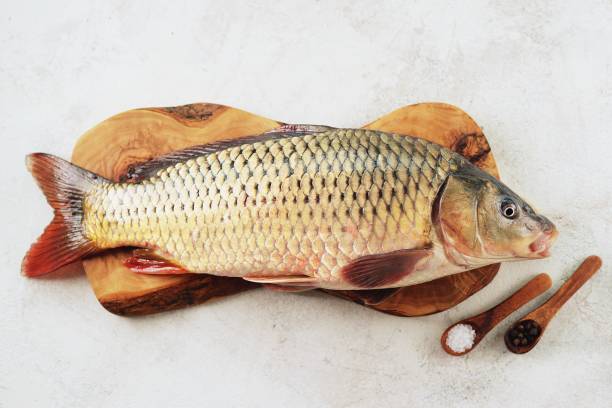 istock Fresh live raw carp. Fresh river fish. Wild fish. Top view. 1193784839