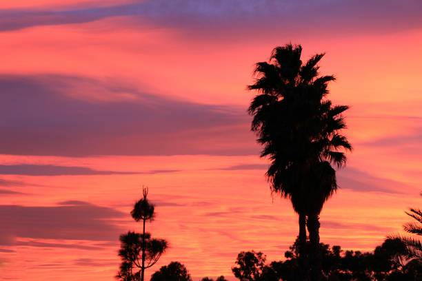 istock Spectacular sunset with pink color 1193785406