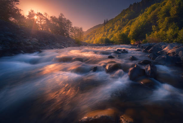 istock beautiful sunrise over fast flowing mountain river 1193786514