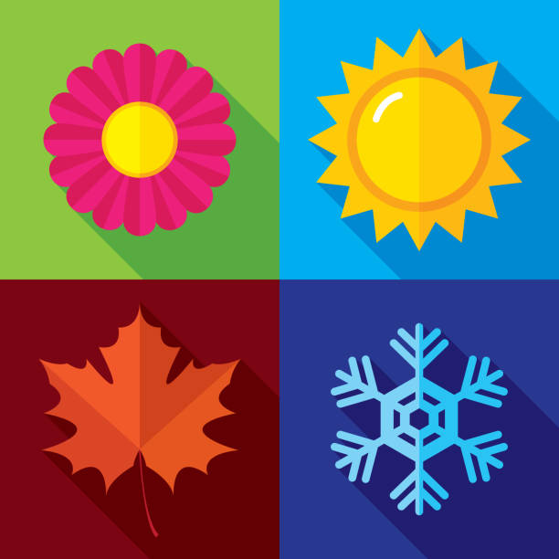 ilustraciones, imágenes clip art, dibujos animados e iconos de stock de iconos de temporada planos - autumn leaf single flower flower