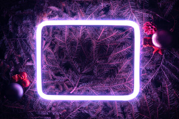 istock Creative fluorescent color layout made of spruce branches 1193788072