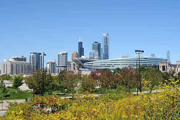 istock Autumn Cityscape of Chicago -- Horizontal 119378847