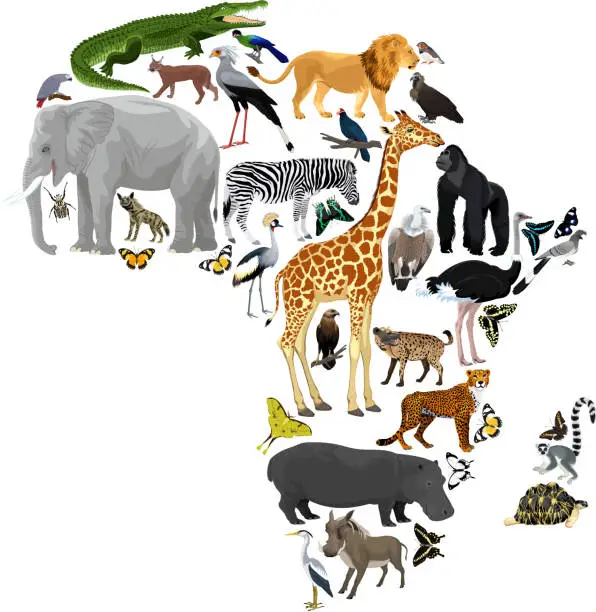 Vector illustration of Vector Africa fauna map, flat elements. Animals, birds, reptiles, insects big set. Geography infographic illustration