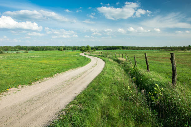 istock Sandy road through green meadows, horizon and clouds on blue sky 1193791590