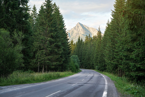 Empty mountain road, coniferous trees on both sides, evening sun shines on mount Krivan peak (Slovak symbol) in distance
