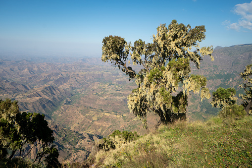 The Simien Mountains can be visited from the Ethiopian town of Debark. To explore the national park it's recomanded to stay overnight since distances are long.