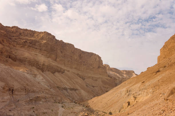 canyon in the judean desert midbar yehuda on the dead sea, israel. background of lifeless land in the desert on the west bank of the jordan river. - travel jordan israel sand imagens e fotografias de stock
