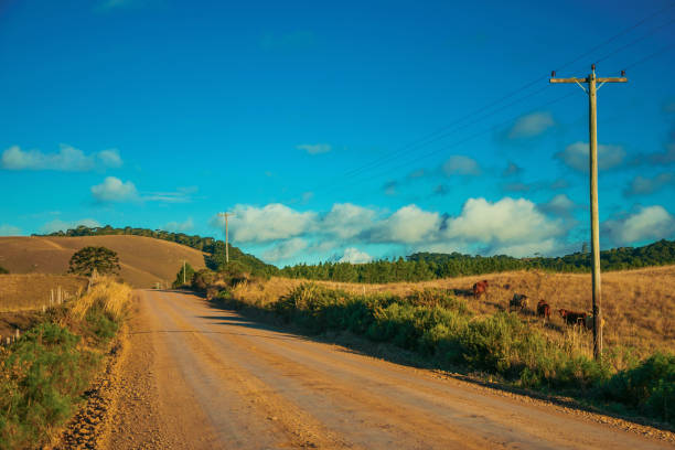 istock Deserted dirt road passing through rural lowlands 1193806931